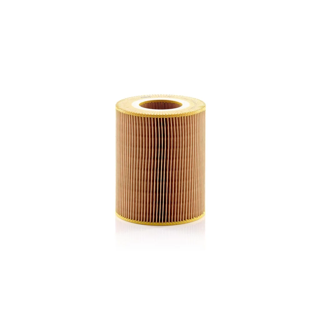 Filtru de aer C1381