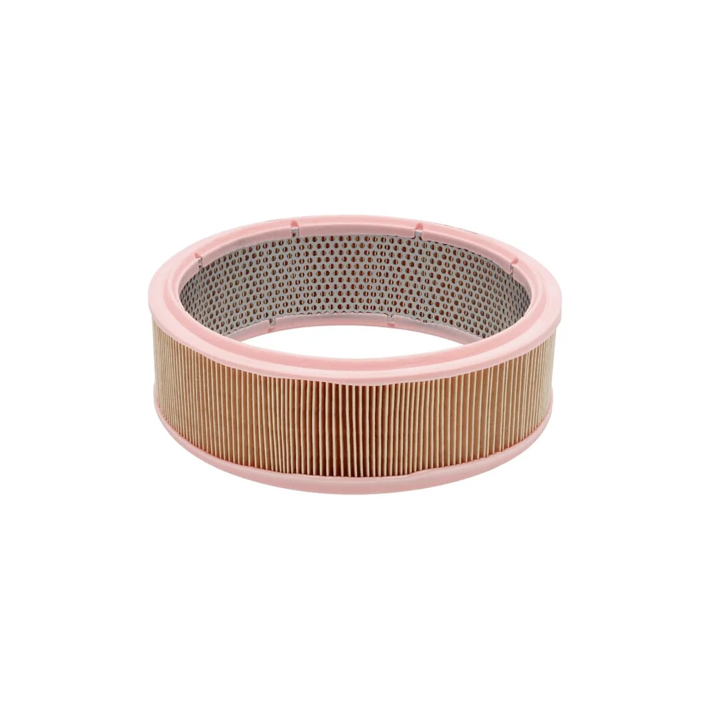 Filtru aer C2651