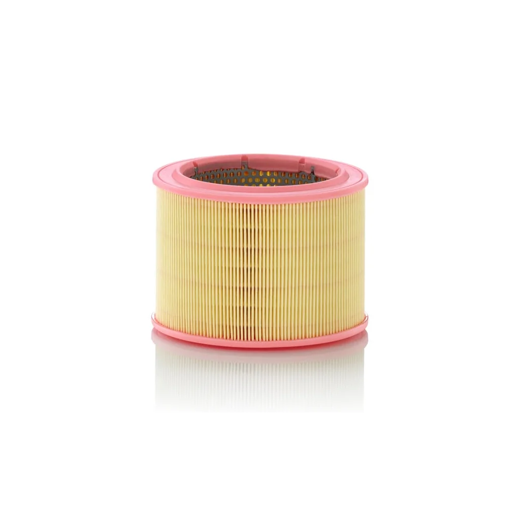Filtru de aer C17601