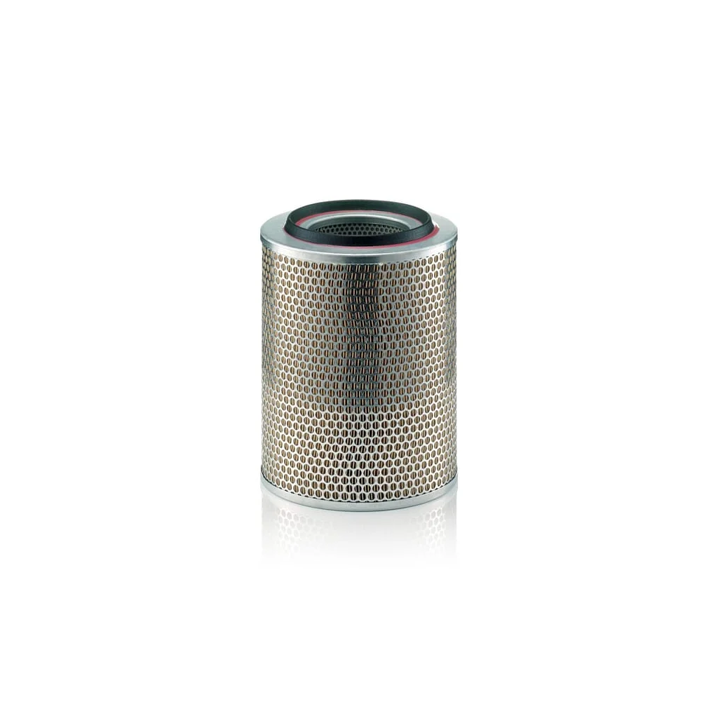 Filtru aer C234402