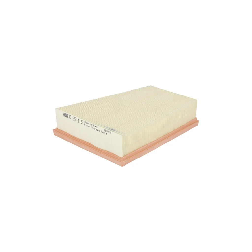 Filtru aer C25115