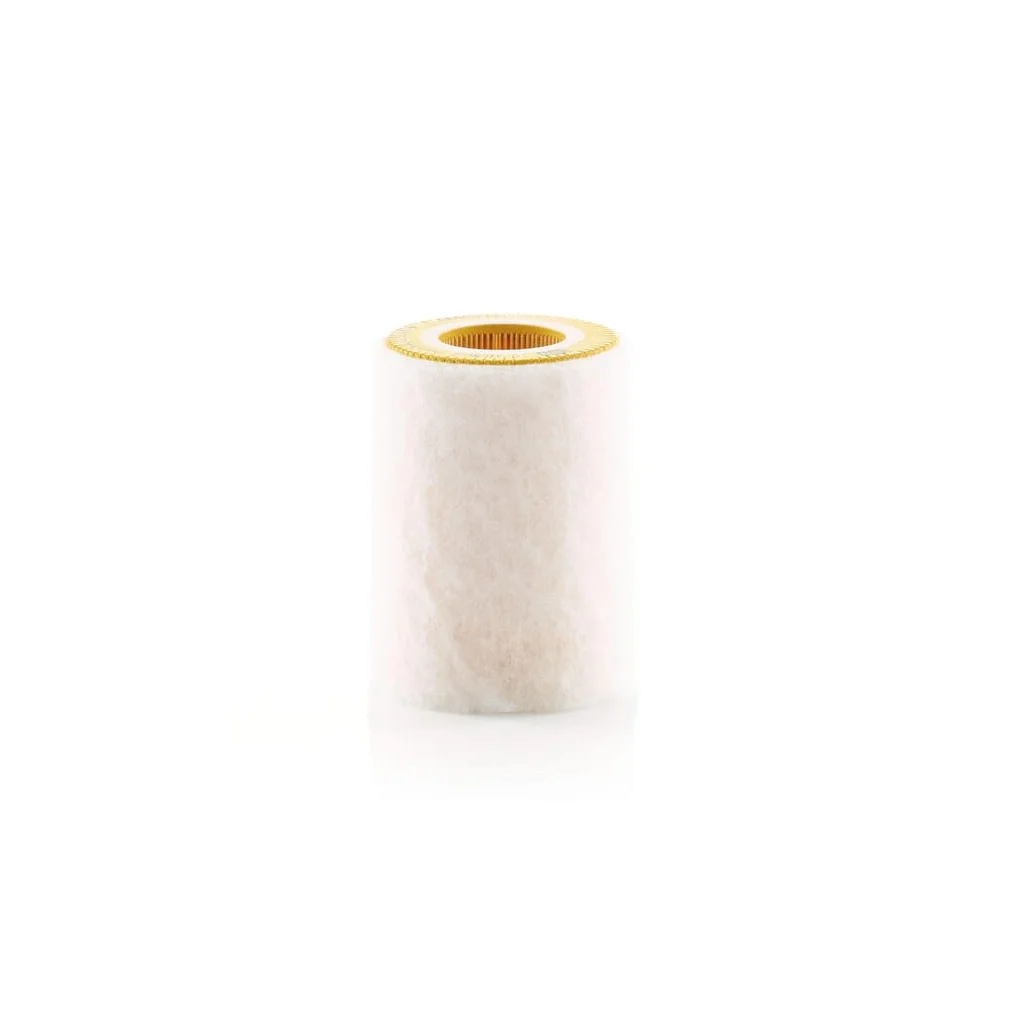 Filtru de aer C10362