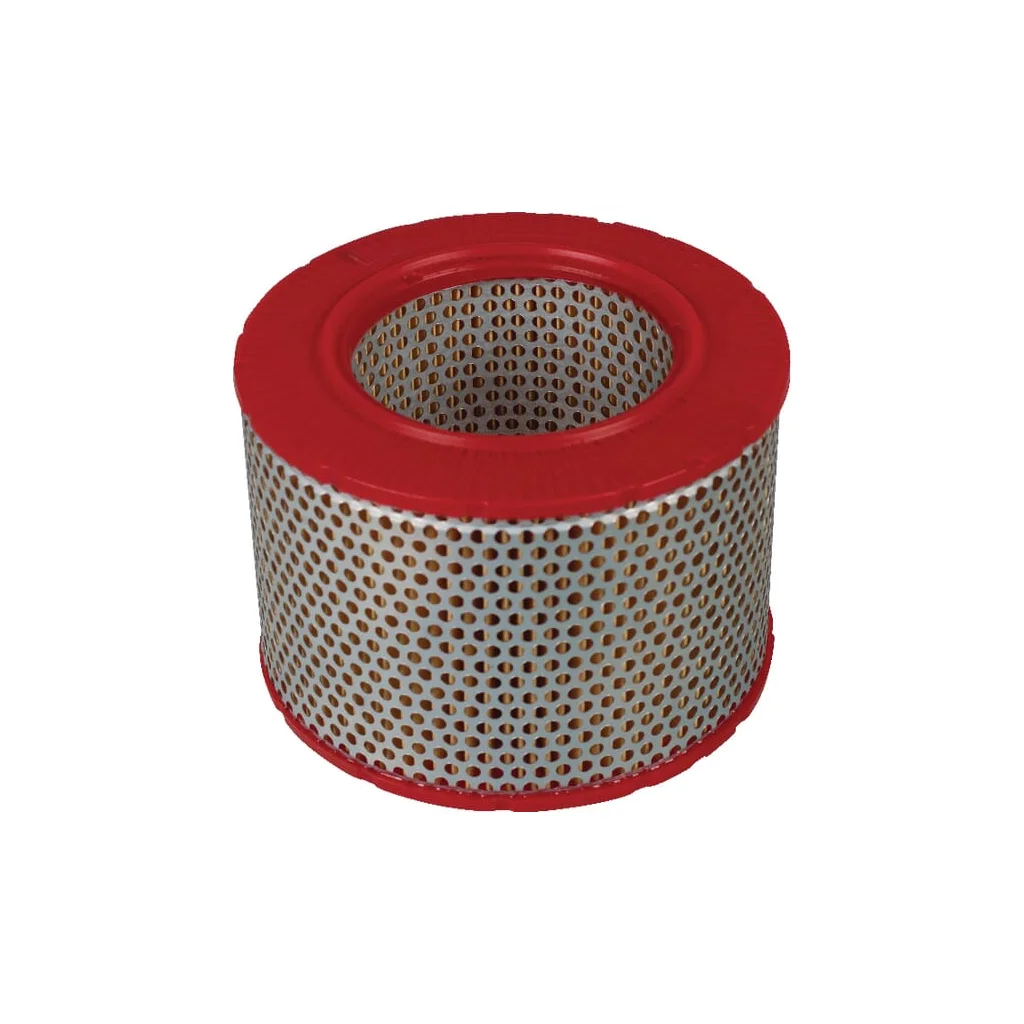 Element filtru aer C15556