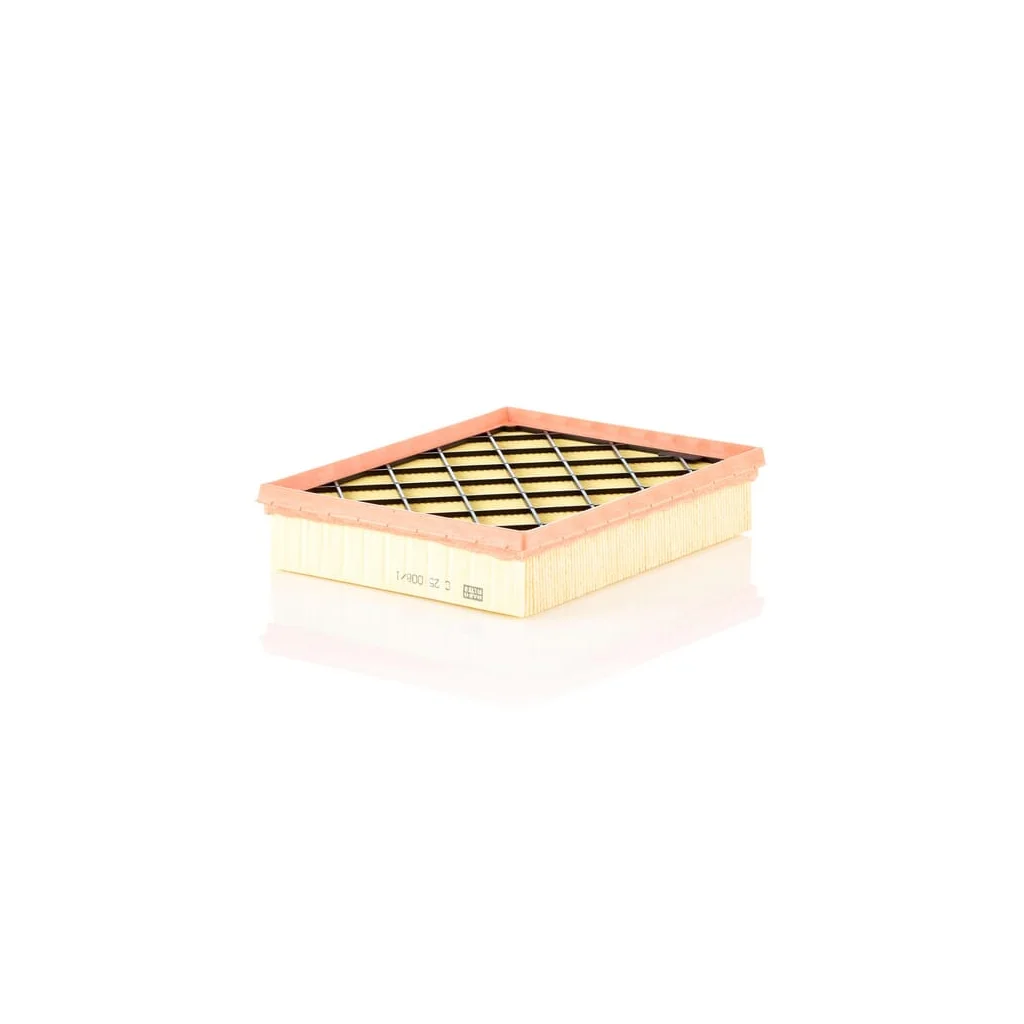 Filtru de aer C250081