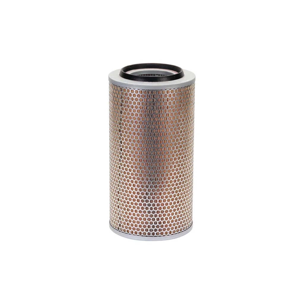 Element filtru de aer C203252