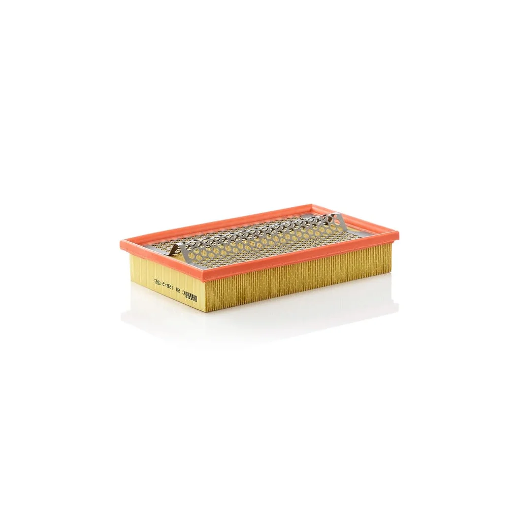 Filtru aer C291262