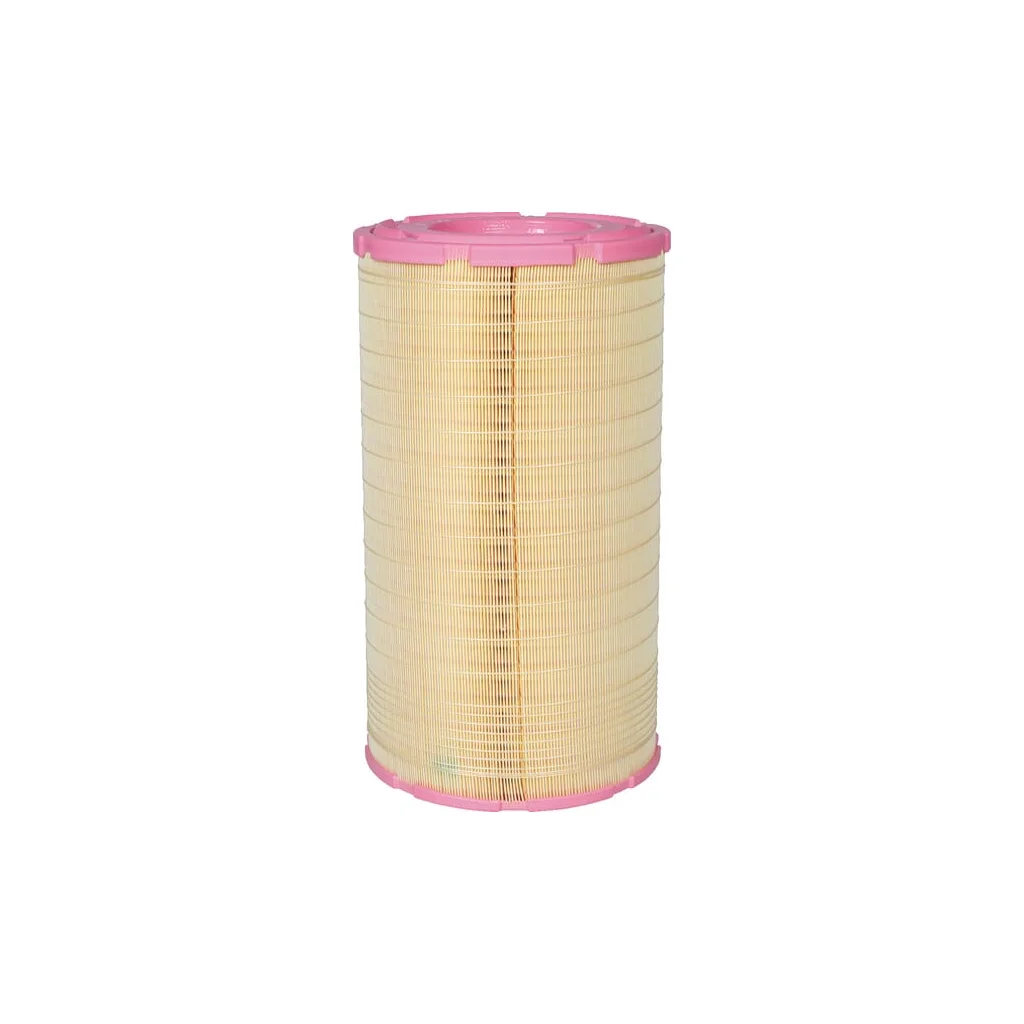 Element filtru aer C2913661