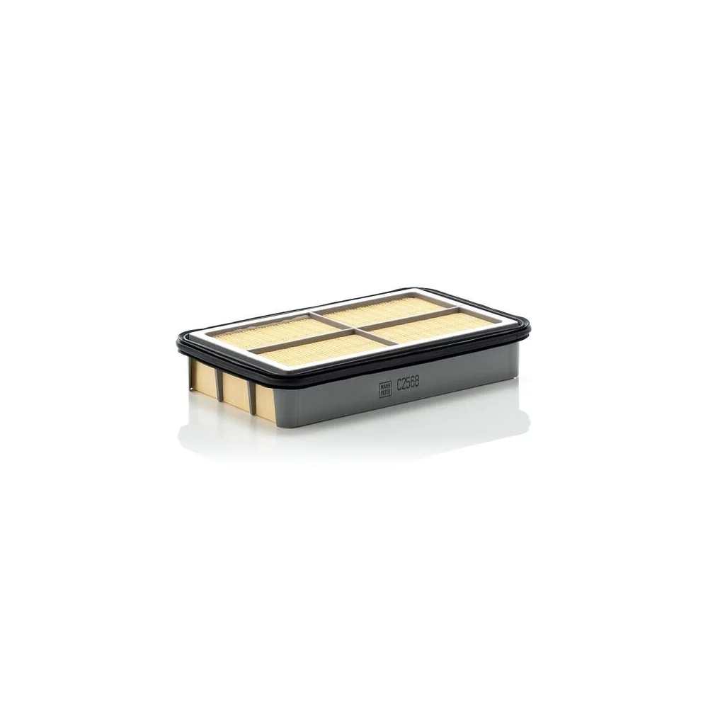 Element filtru aer C2568