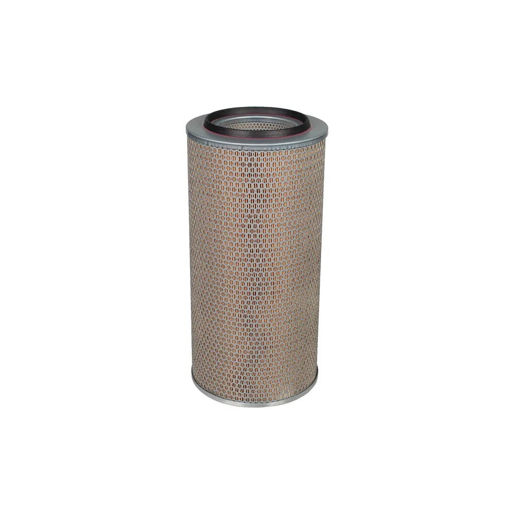Element filtru de aer C246501