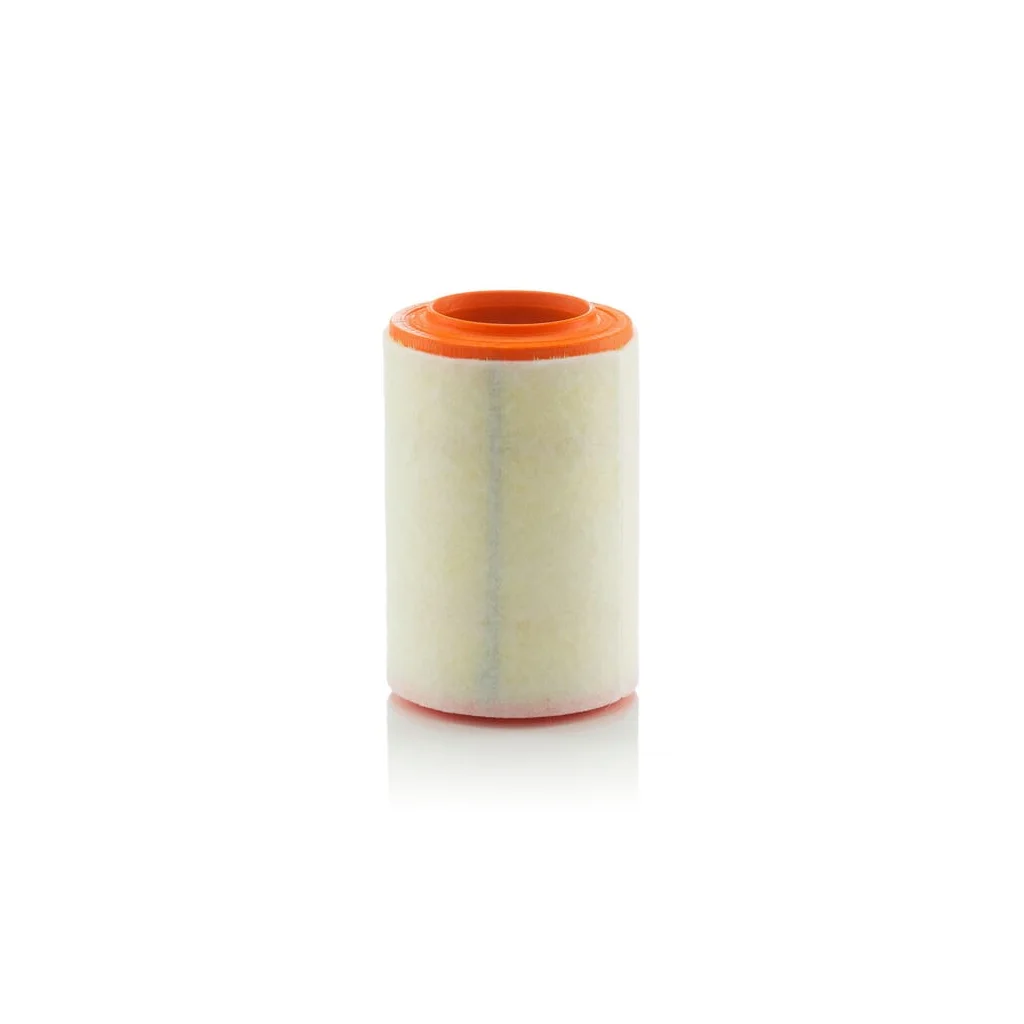 Filtru de aer C15007