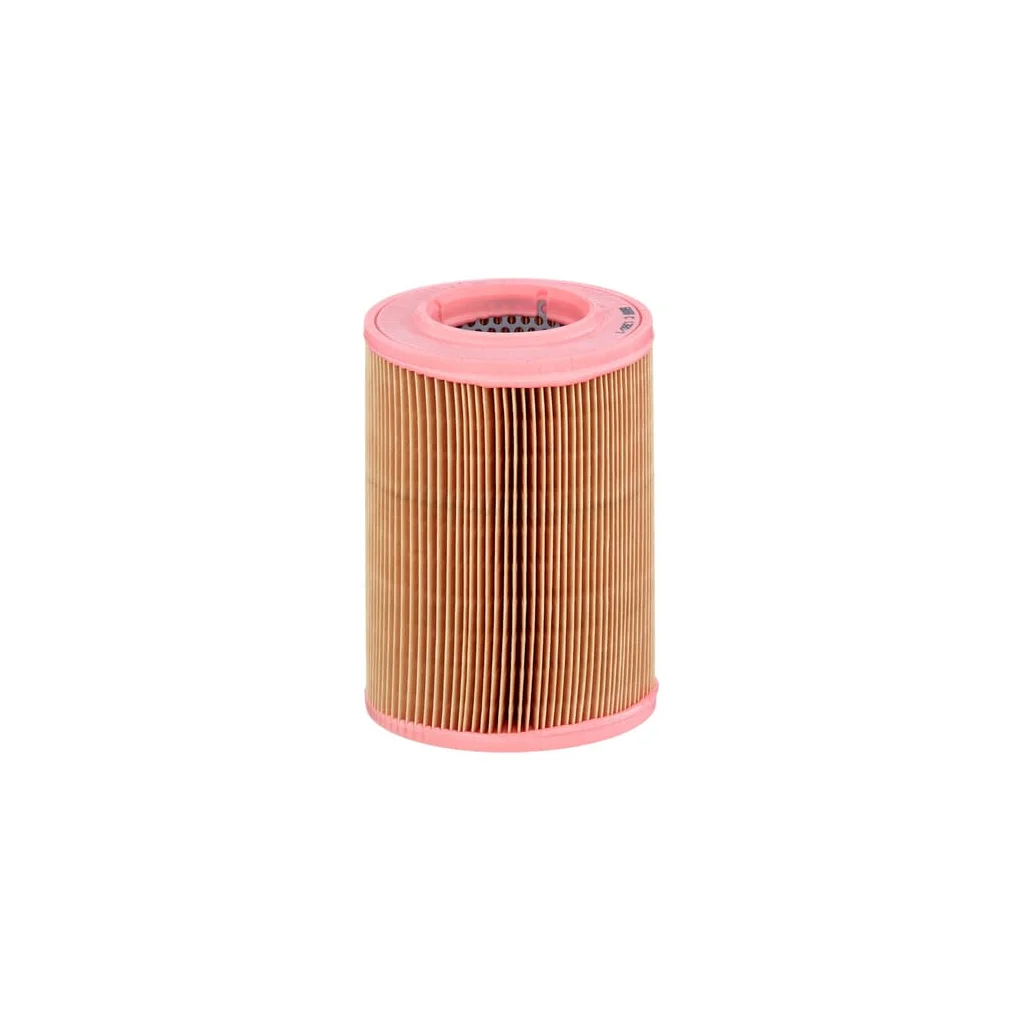 Filtru de aer C13801