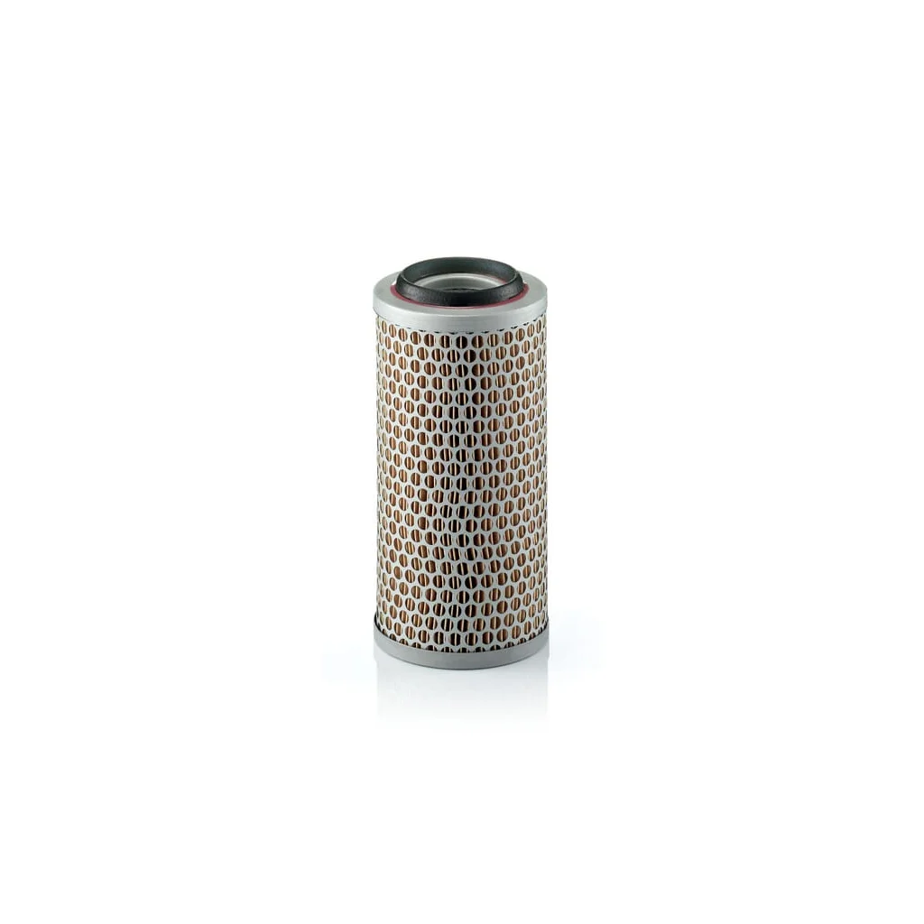 Filtru de aer C11763