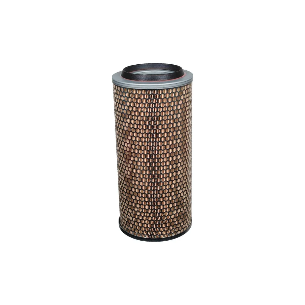 Element filtru de aer C172253