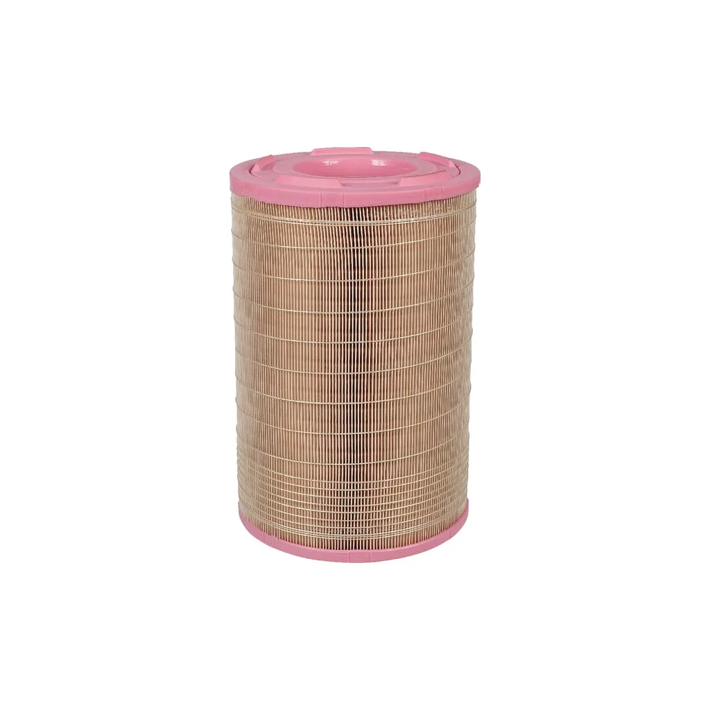 Element filtru aer C257301