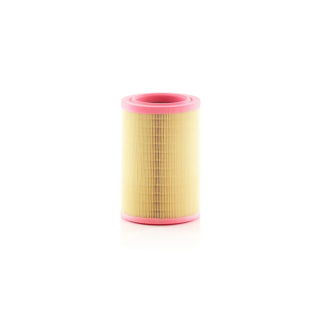 Filtru de aer C15005