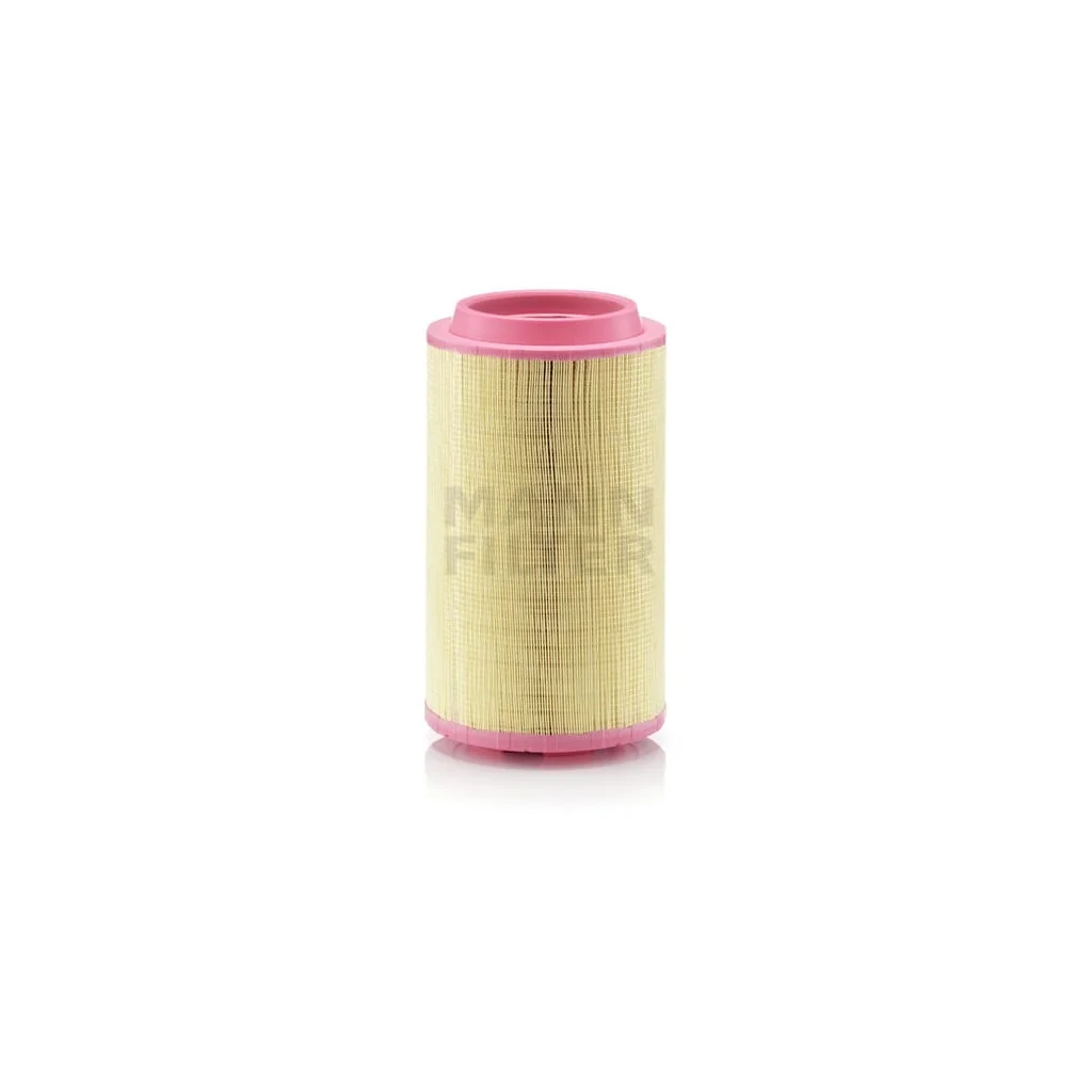Filtru de aer C247453
