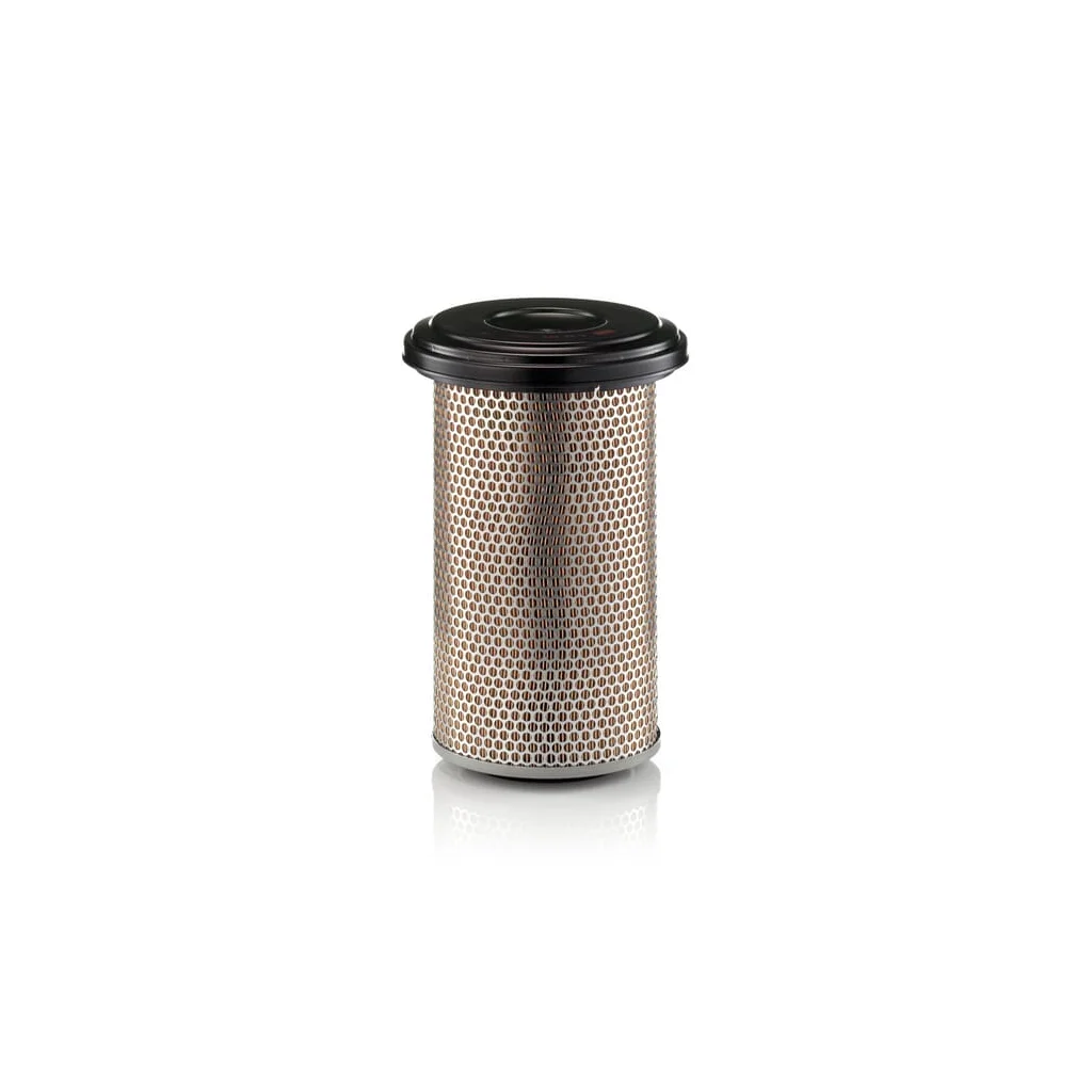 Filtru de aer C20325