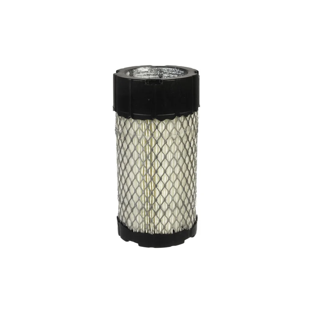 Filtru de aer C10010
