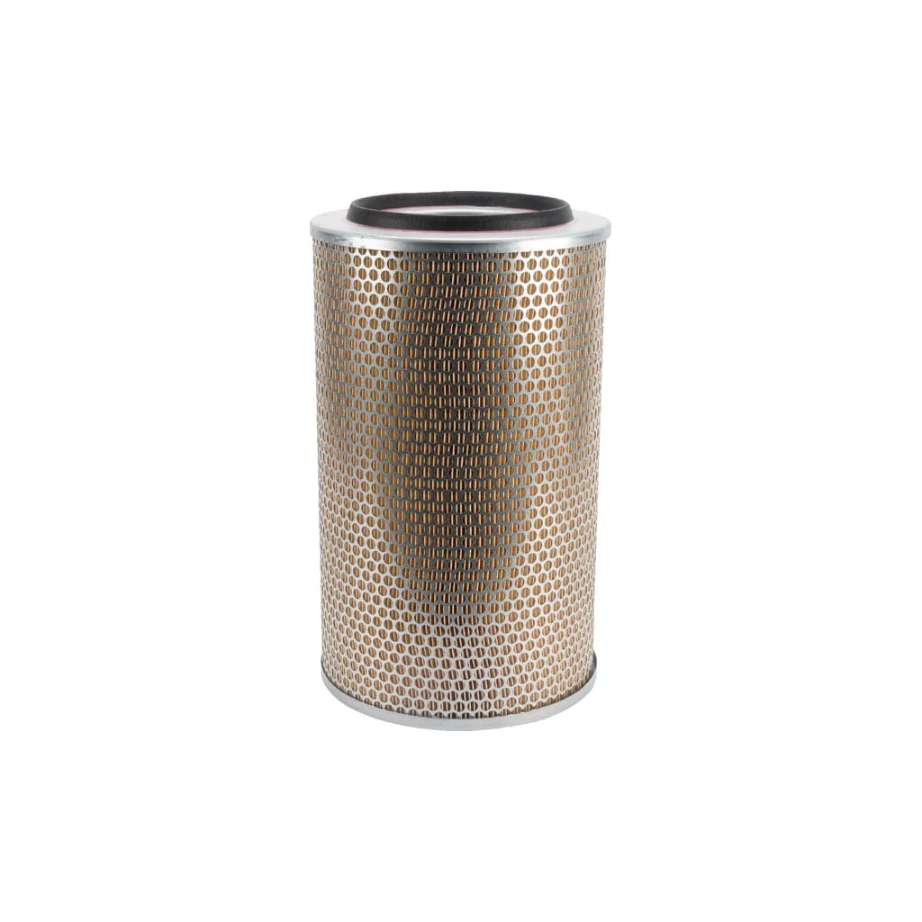 Element filtru de aer C234401