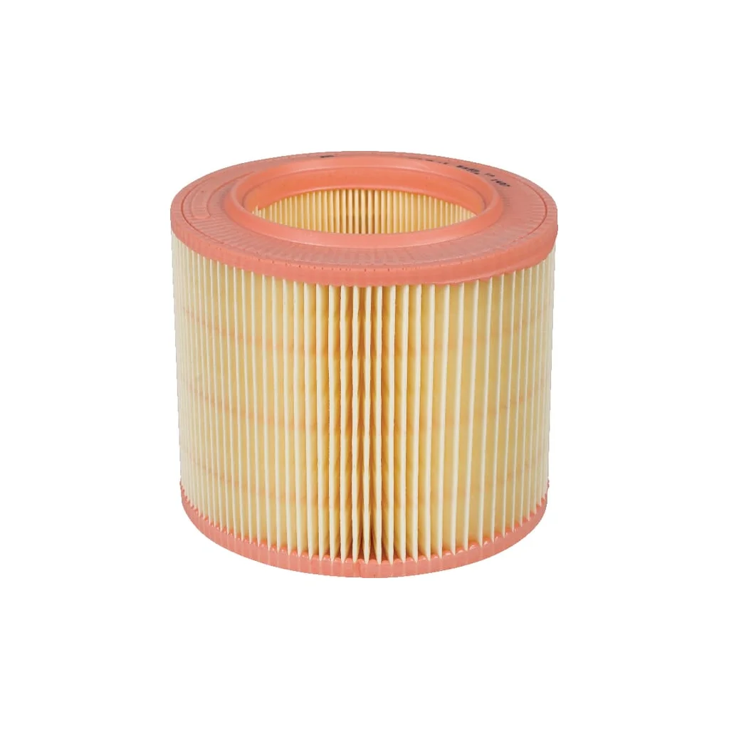 Element filtru aer C15671
