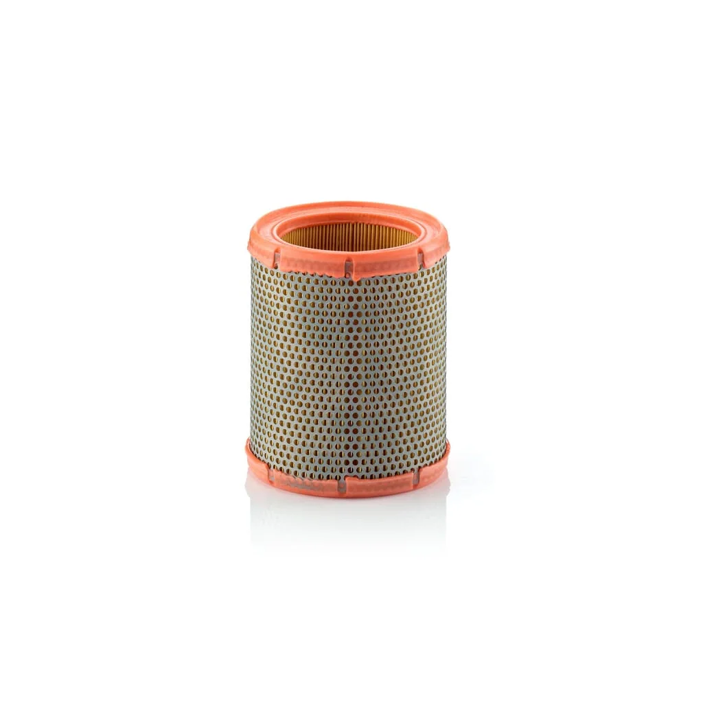 Filtru de aer C1460