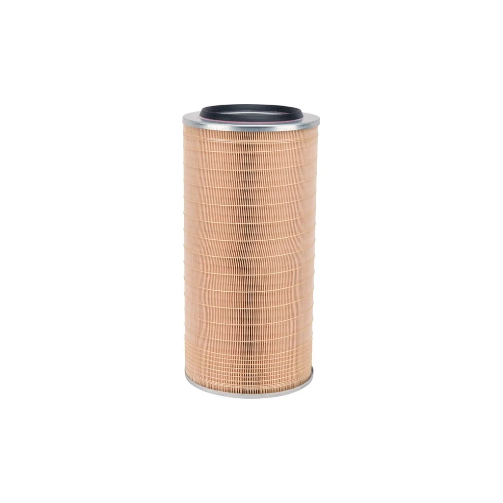 Filtru aer C246508