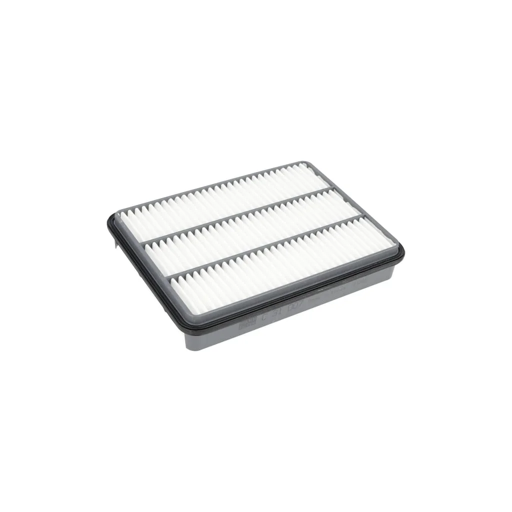 Filtru de aer C31007
