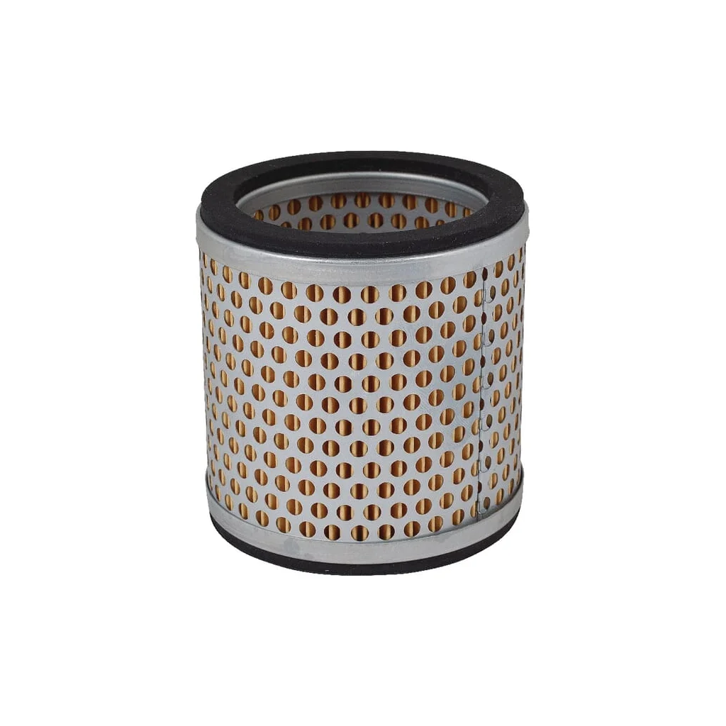 Element filtru aer C891