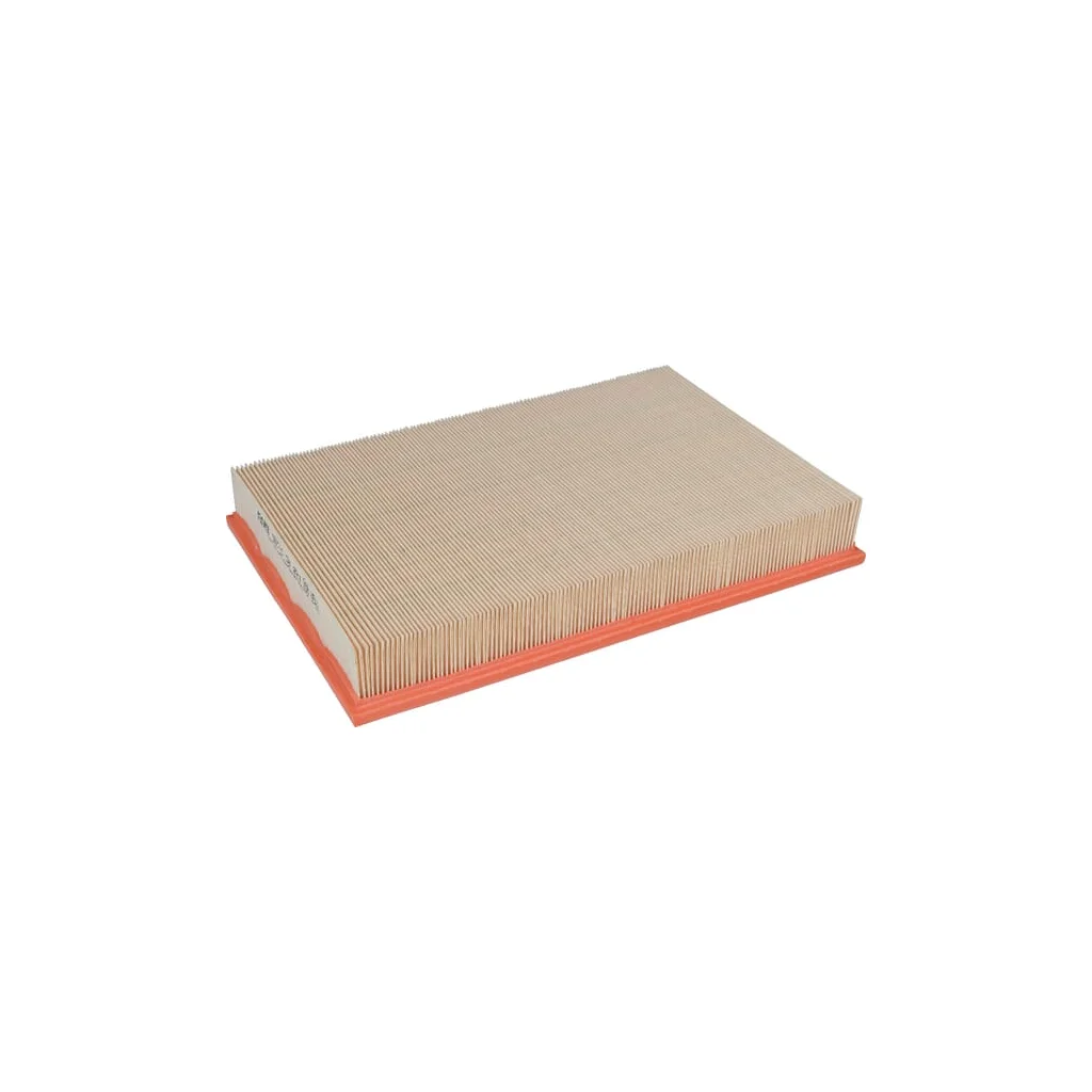 Element filtru aer C36221