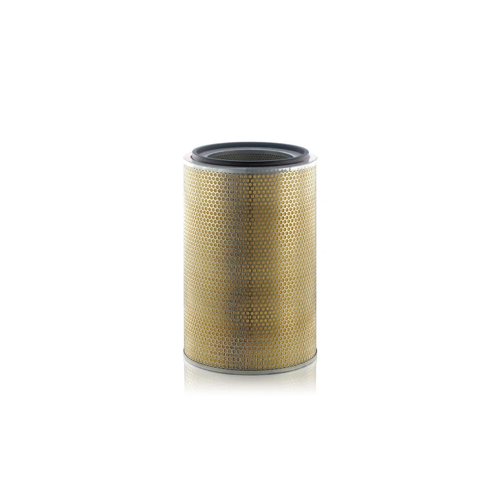 Filtru de aer C31013