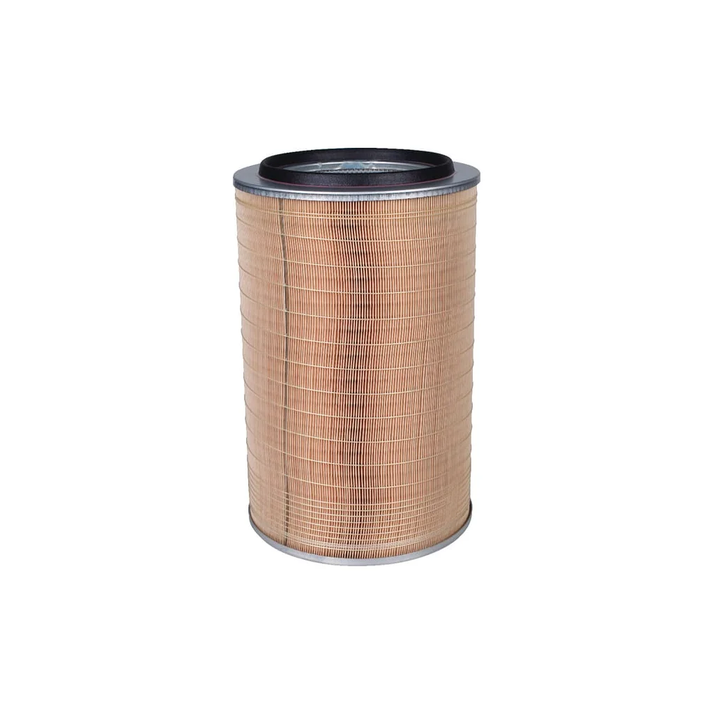 Element filtru aer C3085011