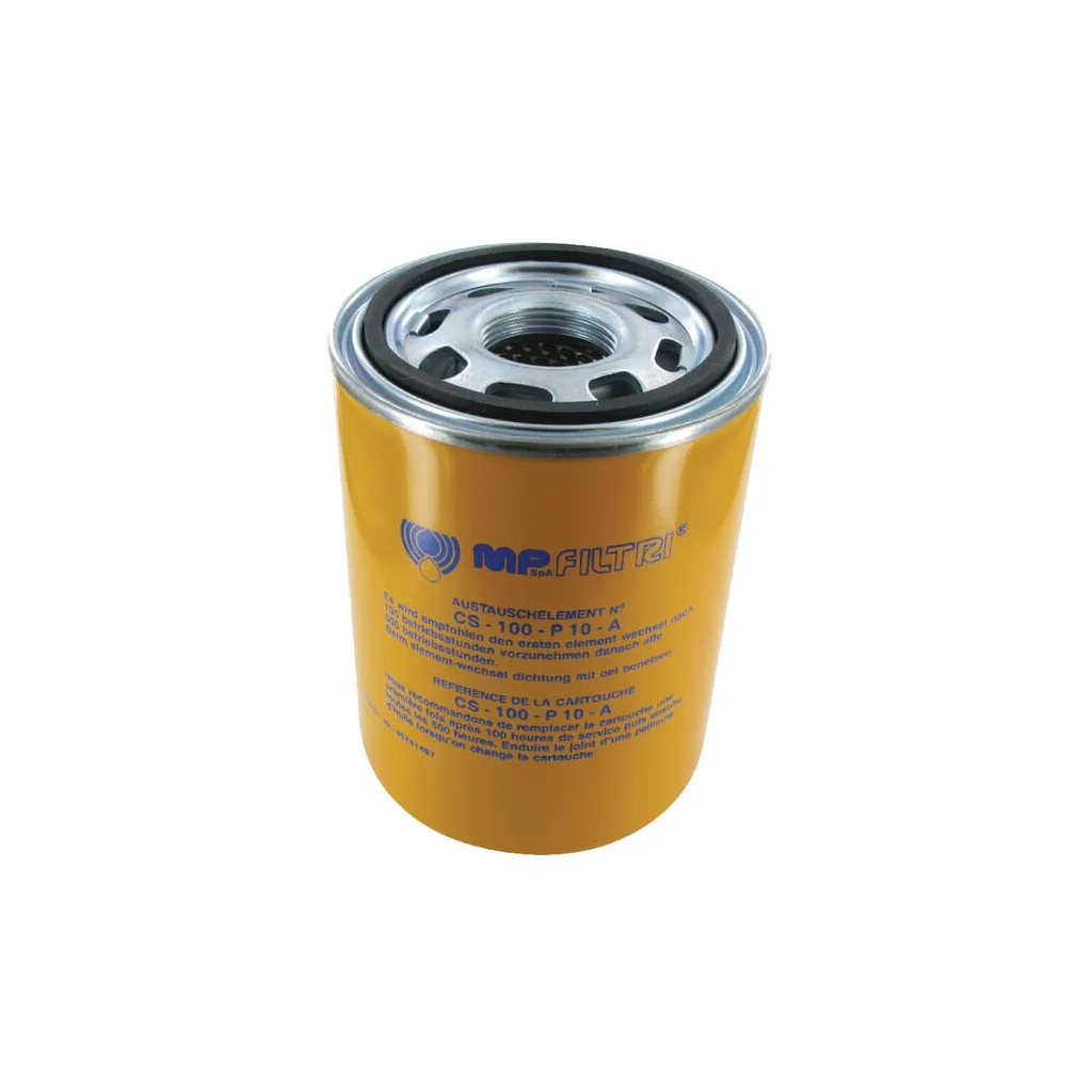 Element de filtrare 10 µm CS100P10