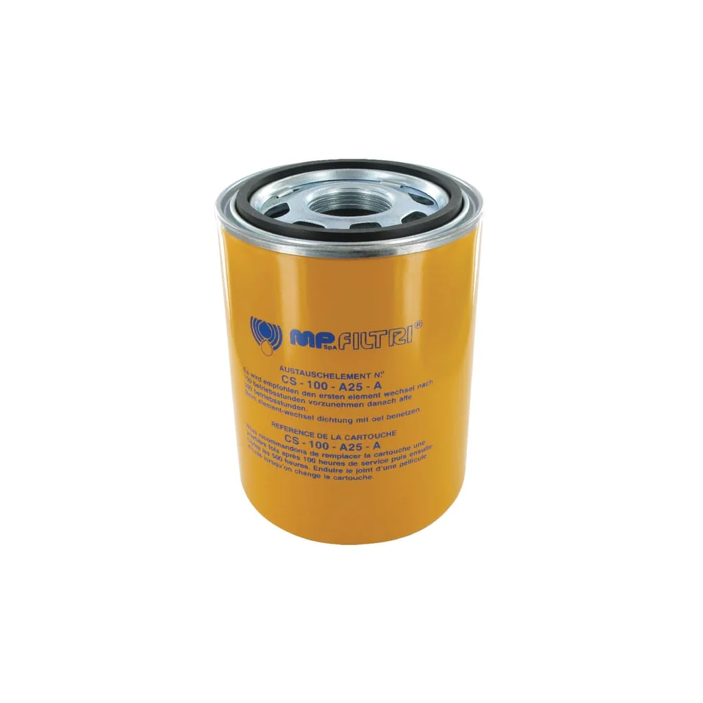 Element de filtrare 25 µm CS100A25