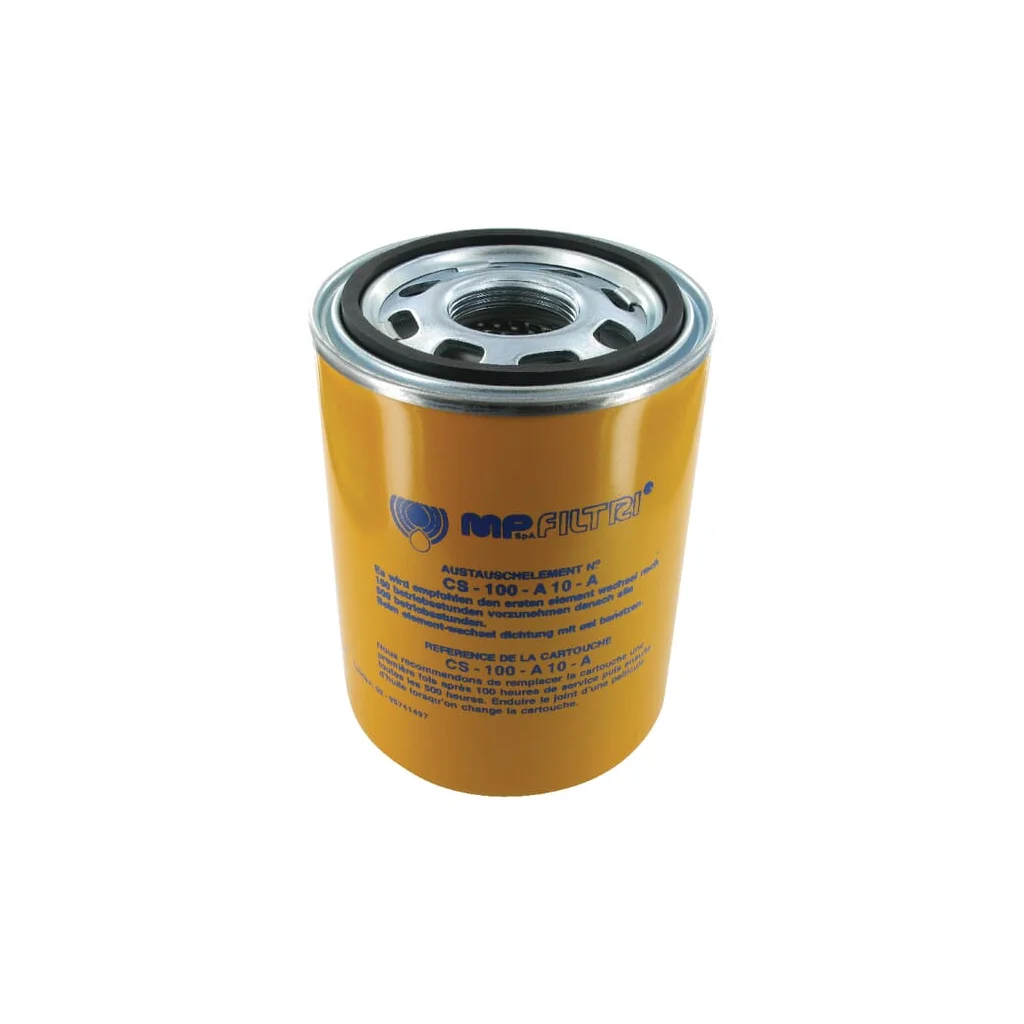 Element de filtrare 10 µm CS100A10