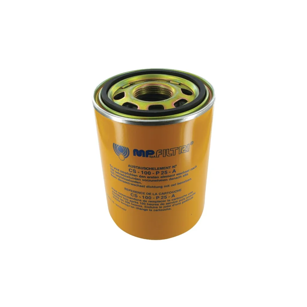 Element de filtrare 25 µm CS100P25