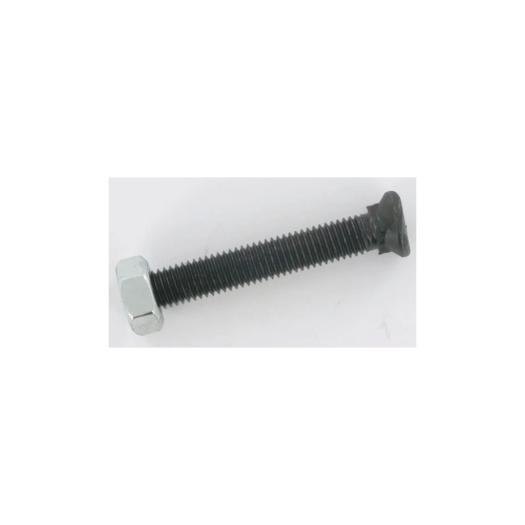 Șurub pentru brăzdar M10x70 CP1070