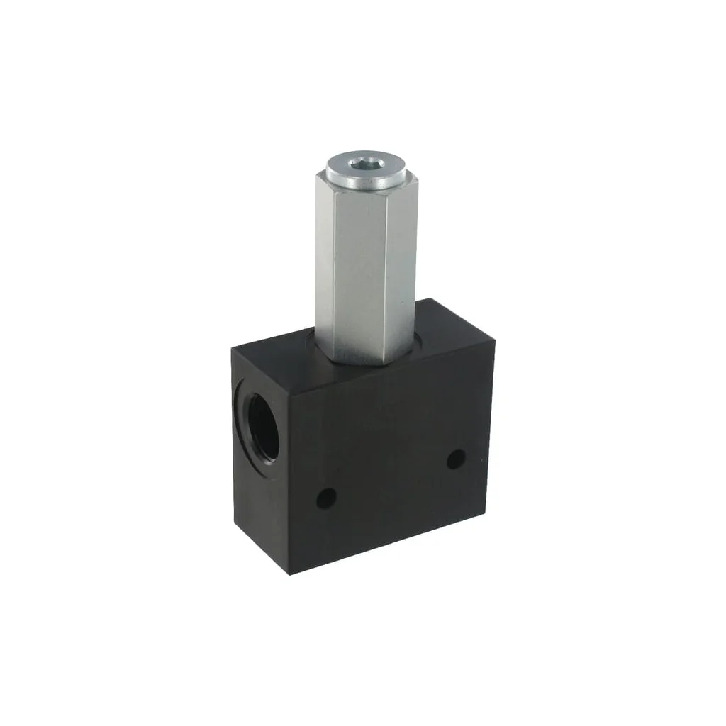 Ventil de reglare a presiunii CP200-1 1/2"BSP CP2001003