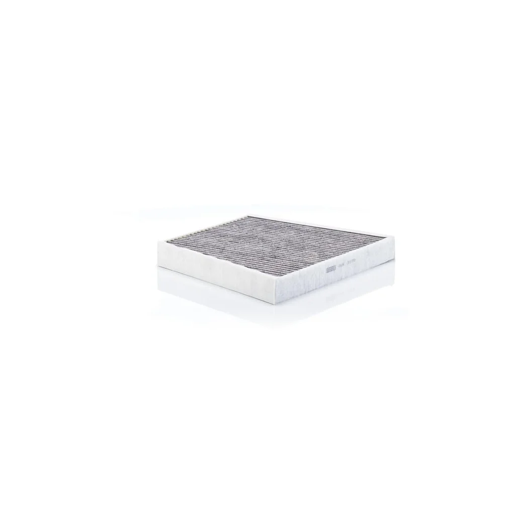Filtru intern cu cărbune activ CUK3172