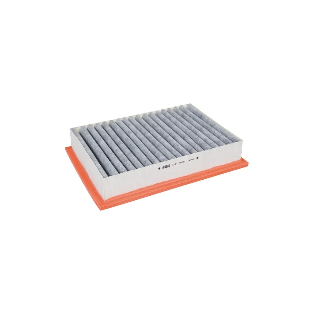Filtru intern cu cărbune activ CUK3038