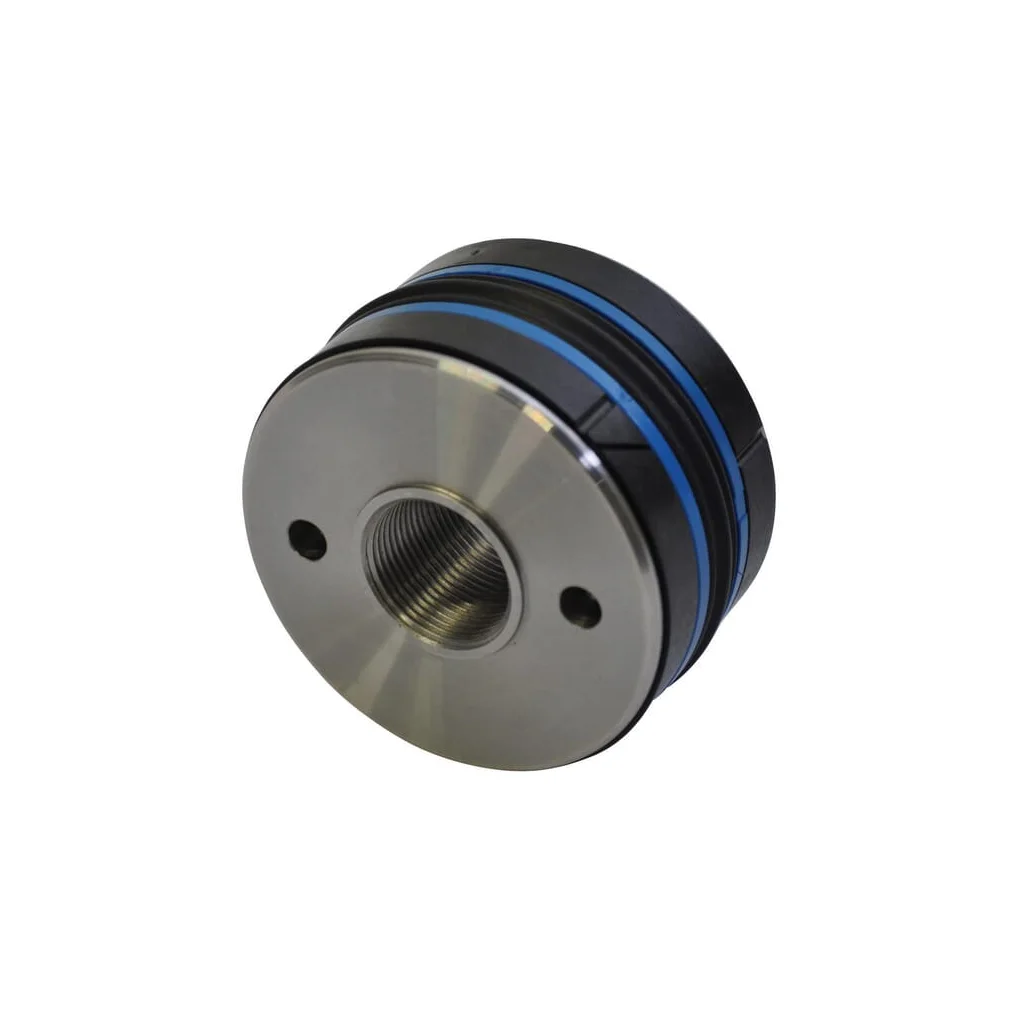 Piston scurt C2P alezaj 100 incl. DS2910004SVM