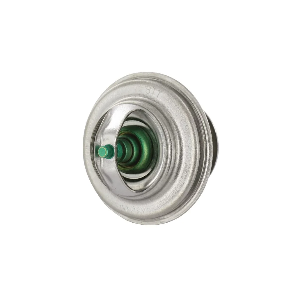 Termostat F119200050040