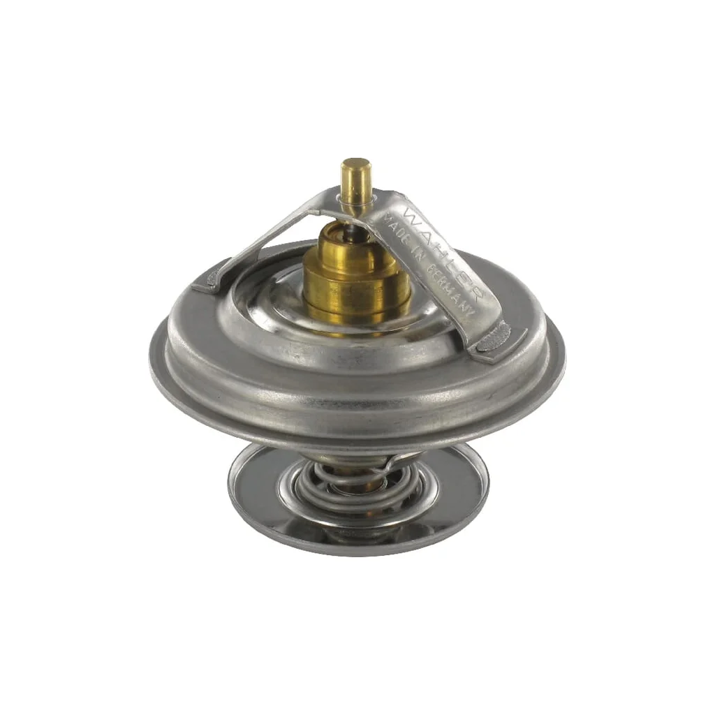 Termostat F824200050060