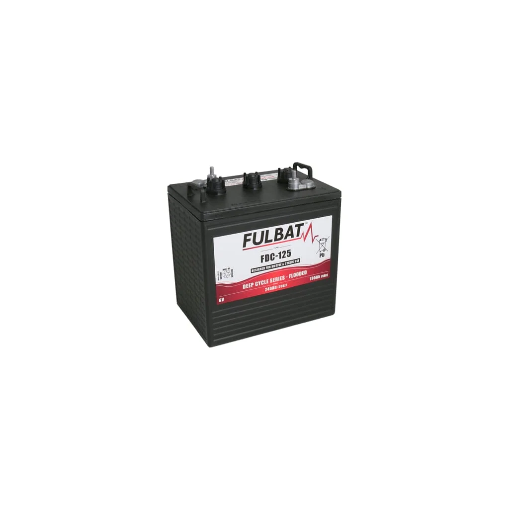 Baterie 6V 240(C20)/195Ah(C5) cu acid de plumb inundat FDC125