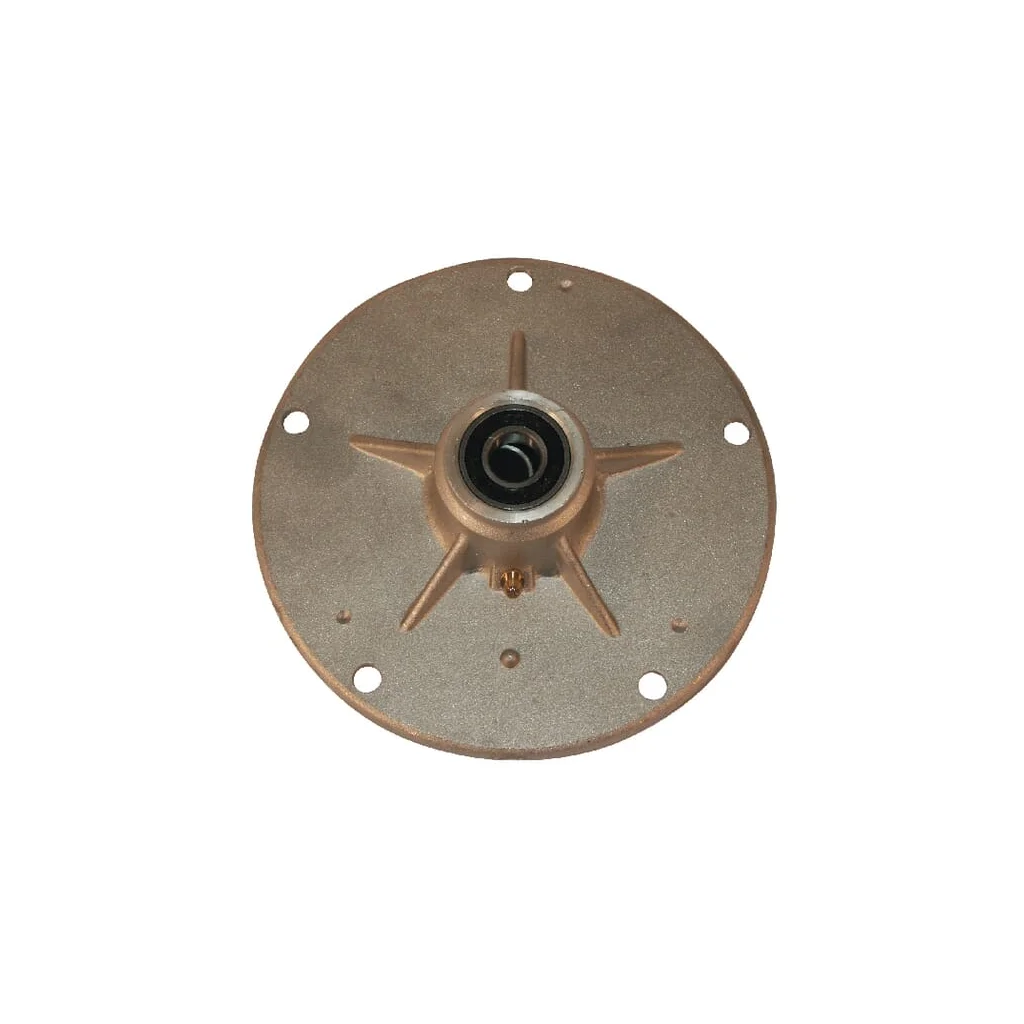 Ansamblu ax, tub cu rulment FGP010746