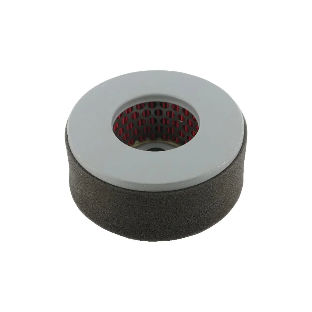 Filtru de aer Yanmar 114250-12580 FGP013786