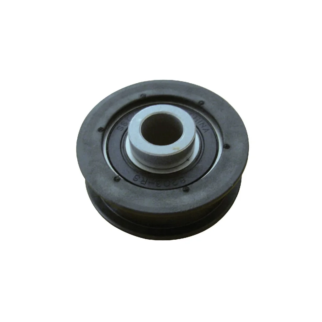 Fulie curea trapezoidală AYP FGP456844