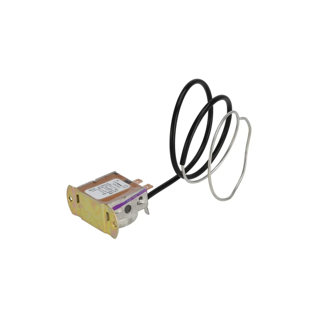 Termostat 1000186908
