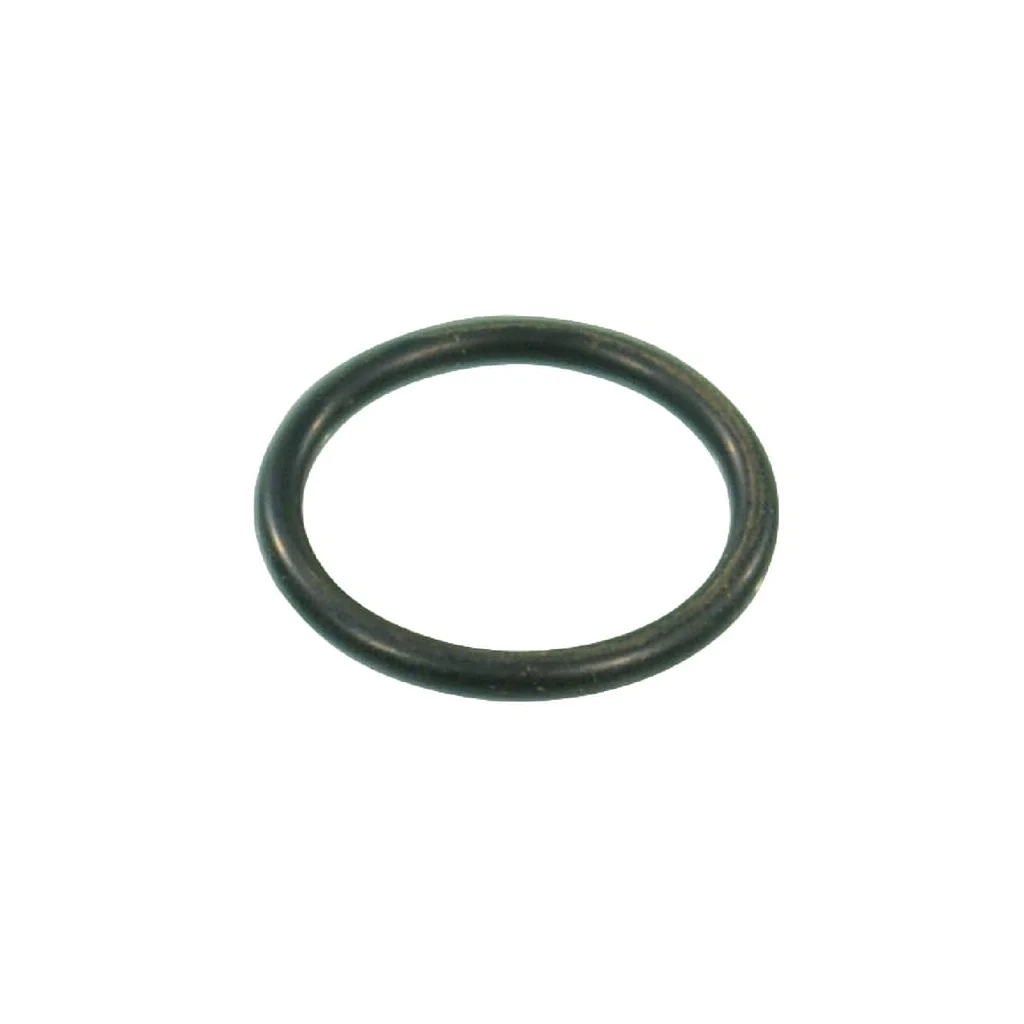 O-ring 29,82 x 2,62 EPDM G00001026