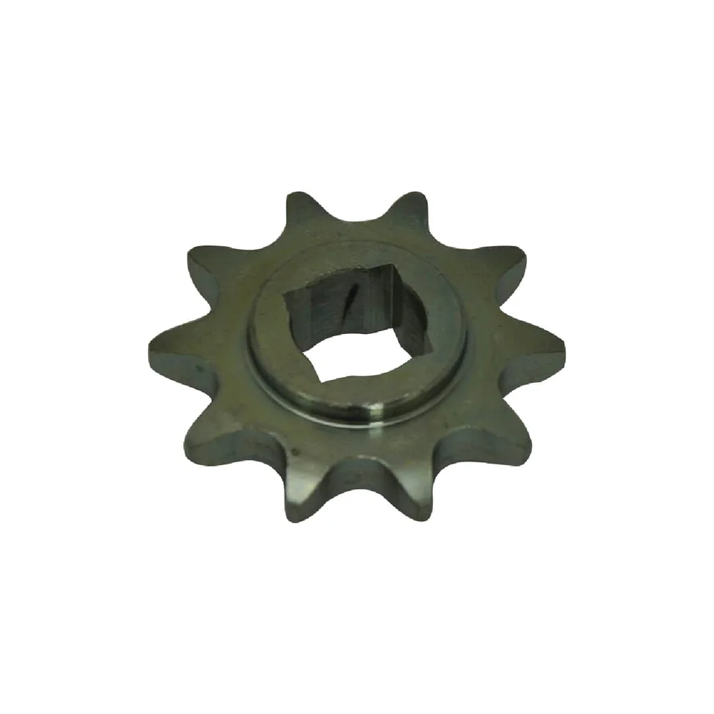 Pinion 10 dinți G22220113R