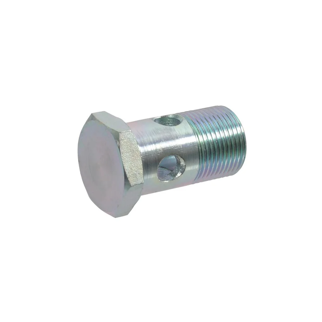 Șurub banjo 1 BSP HBB16